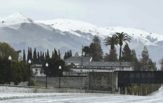 Snowfall on Mount Diablo, February 2023