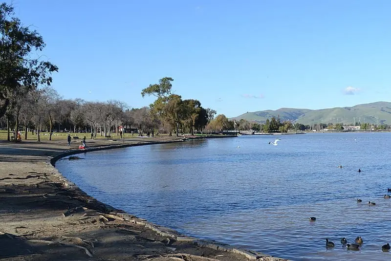 Lake Elizabeth in Fremont California