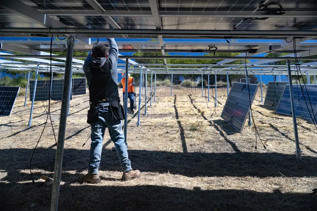 Commercial solar technician inspecting rooftop solar panels