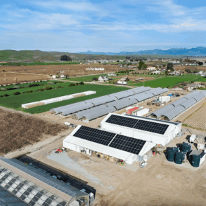 Commercial Case Studies
